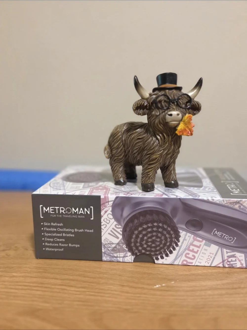 METRO Round Trip USB Facial Brush for Traveling Man